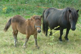 http://www.cedesmillieres.fr/sites/default/files/imagecache/preset3/040.JPG