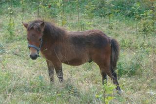 http://www.cedesmillieres.fr/sites/default/files/imagecache/preset3/043.JPG