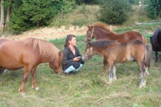 http://www.cedesmillieres.fr/sites/default/files/imagecache/preset3/054.JPG