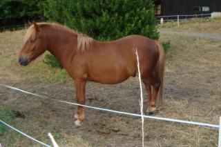 http://www.cedesmillieres.fr/sites/default/files/imagecache/preset3/057.JPG