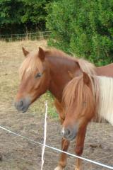 http://www.cedesmillieres.fr/sites/default/files/imagecache/preset3/060.JPG