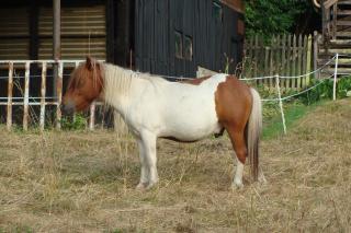 http://www.cedesmillieres.fr/sites/default/files/imagecache/preset3/061.JPG