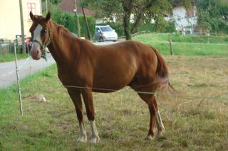 http://www.cedesmillieres.fr/sites/default/files/imagecache/preset3/064.JPG