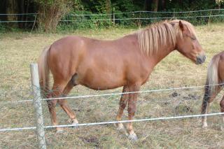 http://www.cedesmillieres.fr/sites/default/files/imagecache/preset3/067.JPG