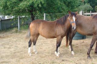 http://www.cedesmillieres.fr/sites/default/files/imagecache/preset3/071.JPG