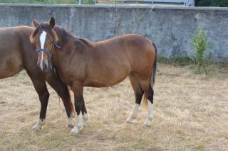 http://www.cedesmillieres.fr/sites/default/files/imagecache/preset3/073.JPG
