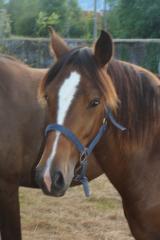 http://www.cedesmillieres.fr/sites/default/files/imagecache/preset3/074.JPG