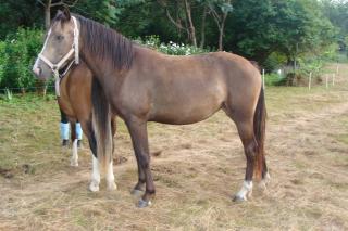 http://www.cedesmillieres.fr/sites/default/files/imagecache/preset3/075.JPG