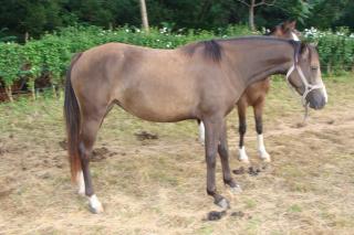 http://www.cedesmillieres.fr/sites/default/files/imagecache/preset3/076_0.JPG