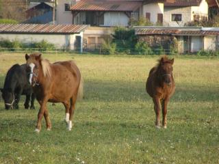 http://www.cedesmillieres.fr/sites/default/files/imagecache/preset3/141.JPG
