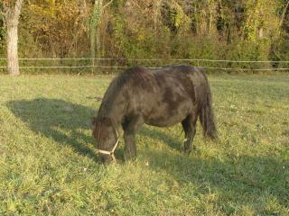 http://www.cedesmillieres.fr/sites/default/files/imagecache/preset3/143.JPG