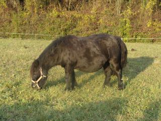 http://www.cedesmillieres.fr/sites/default/files/imagecache/preset3/144.JPG