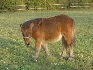 http://www.cedesmillieres.fr/sites/default/files/imagecache/preset3/152.JPG