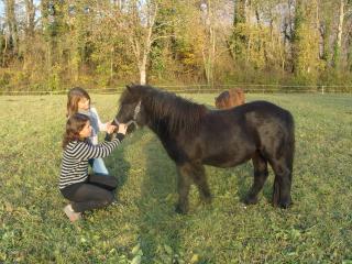 http://www.cedesmillieres.fr/sites/default/files/imagecache/preset3/155.JPG