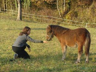 http://www.cedesmillieres.fr/sites/default/files/imagecache/preset3/165.JPG
