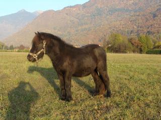 http://www.cedesmillieres.fr/sites/default/files/imagecache/preset3/170.JPG