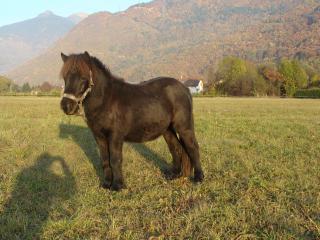 http://www.cedesmillieres.fr/sites/default/files/imagecache/preset3/171.JPG