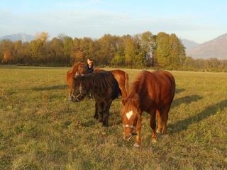 http://www.cedesmillieres.fr/sites/default/files/imagecache/preset3/173.JPG