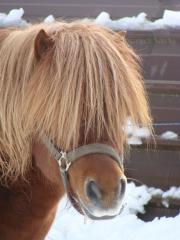 http://www.cedesmillieres.fr/sites/default/files/imagecache/preset3/DSC00054.JPG