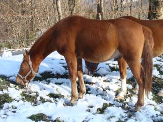 http://www.cedesmillieres.fr/sites/default/files/imagecache/preset3/DSC00798.JPG