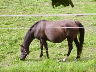 http://www.cedesmillieres.fr/sites/default/files/imagecache/preset3/P8010183_0.JPG